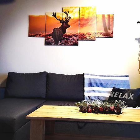 Apartament Lenka Karkonosze Appartamento Jelenia Góra Esterno foto
